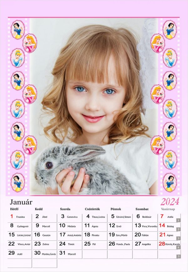 Naptár 13NF-9039Á